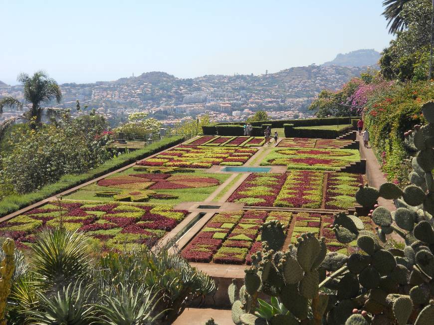 Place Jardín Botánico de Madeira