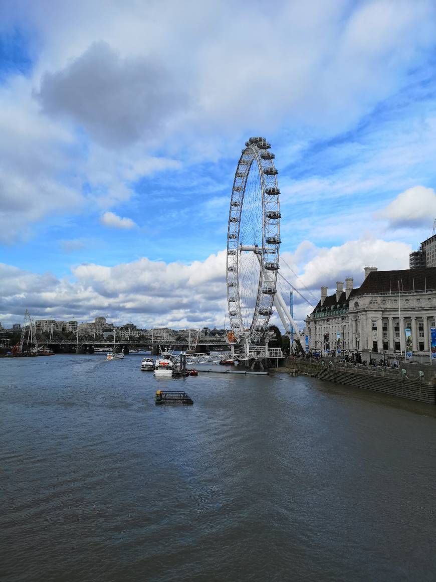 Place London Eye