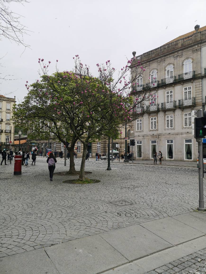 Lugar Avenida dos Aliados