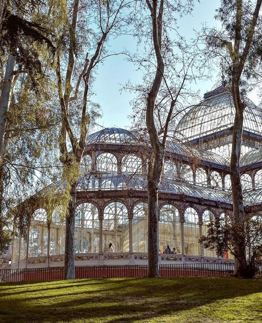 Lugar Palacio de Cristal