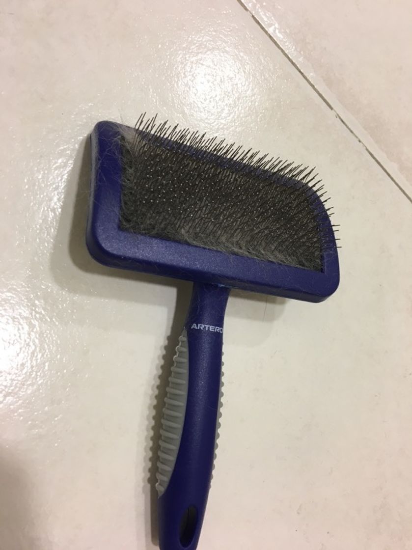 Social Cepillos peines gatos y perros 