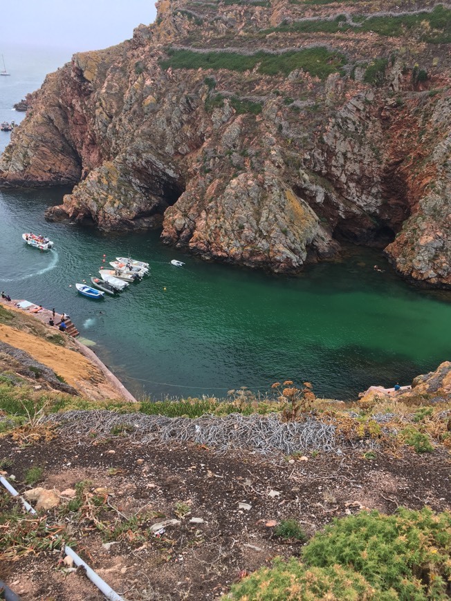 Place Berlengas Natural Reserve