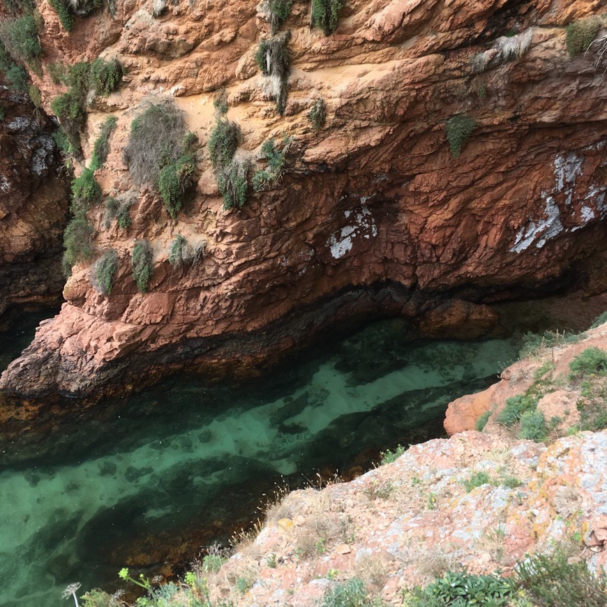 Place Berlengas