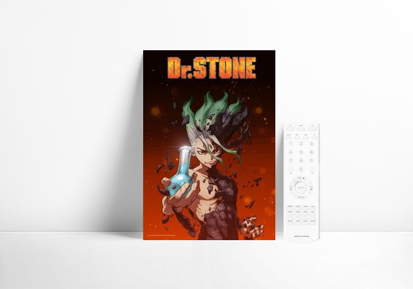 Serie Dr. STONE