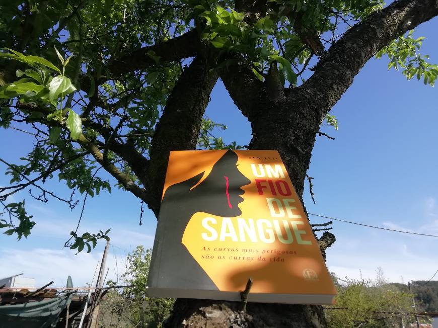 Social Opinião "Um Fio de Sangue" de Ann Yeti