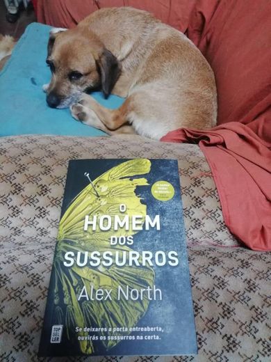 Opinião "O Homem dos Sussurros" de Alex North