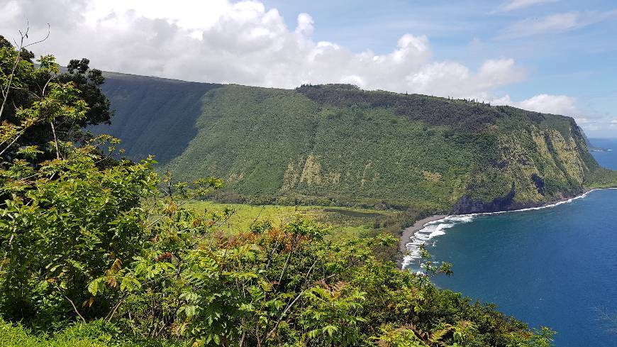 Place Waipio Valley Lookout