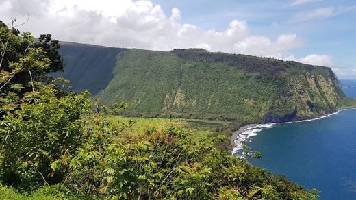 Waipio Valley Lookout