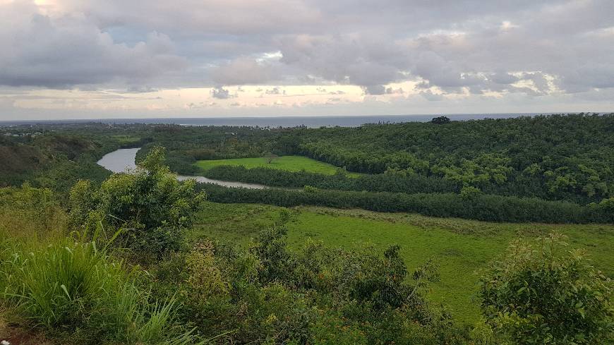 Place Wailua River State Park