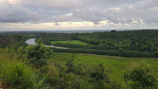 Wailua River State Park