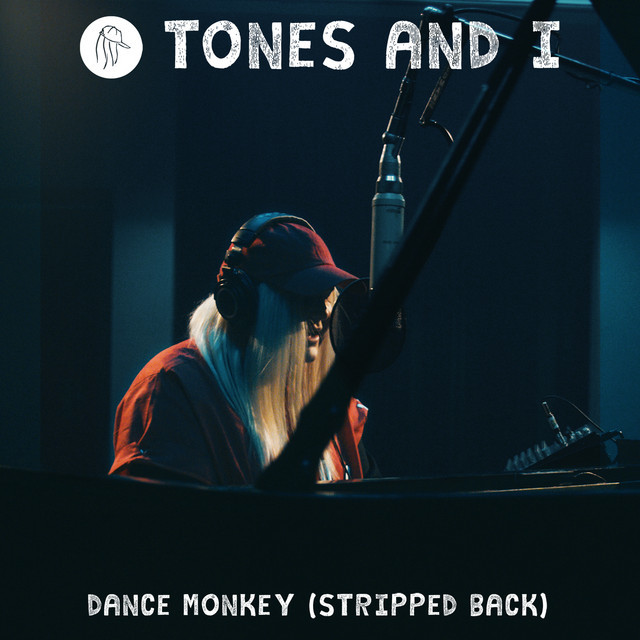 Music Dance Monkey