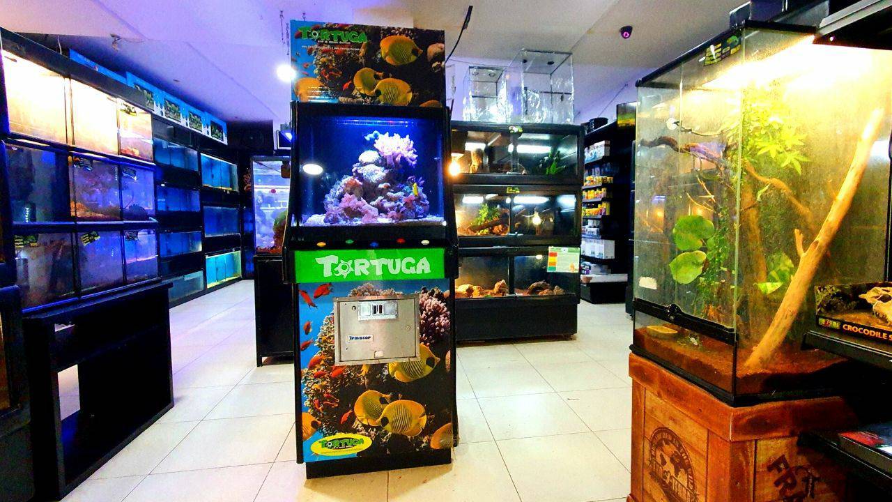 Lugar Tortuga Petshop - Animais Exóticos