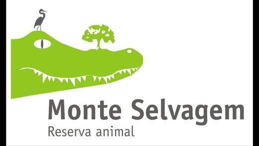 MONTE SELVAGEM-RESERVA ANIMAL LDA