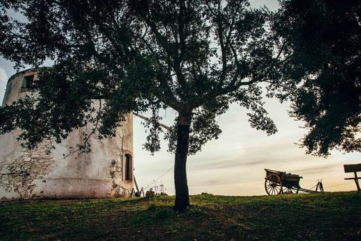 Lugar Moinhos do Paneiro