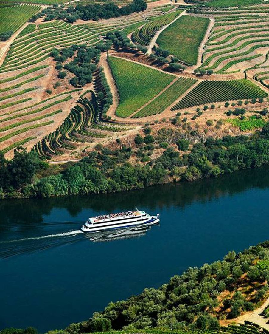 Moda Cruzeiro Porto - Régua - Porto Subida de Barco