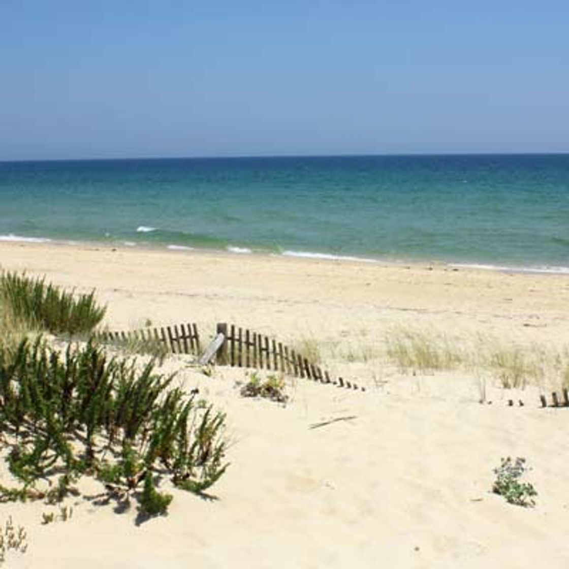 Lugar Ilha de Tavira