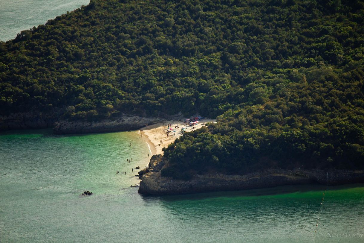 Lugar Praia dos Coelhos