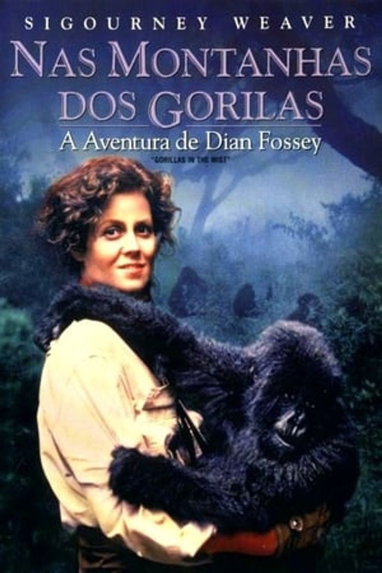 Película Gorillas in the Mist