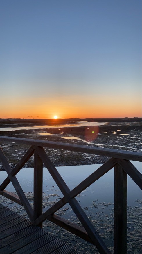 Lugar Quinta do Lago