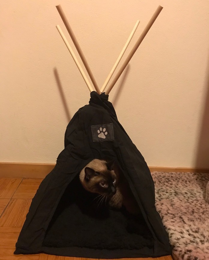 Moda Tenda para animais