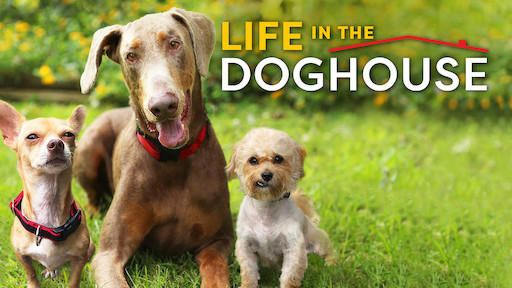 Life in the Doghouse | Netflix