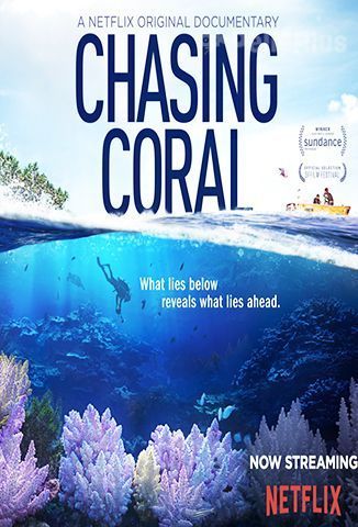 Película En busca del coral