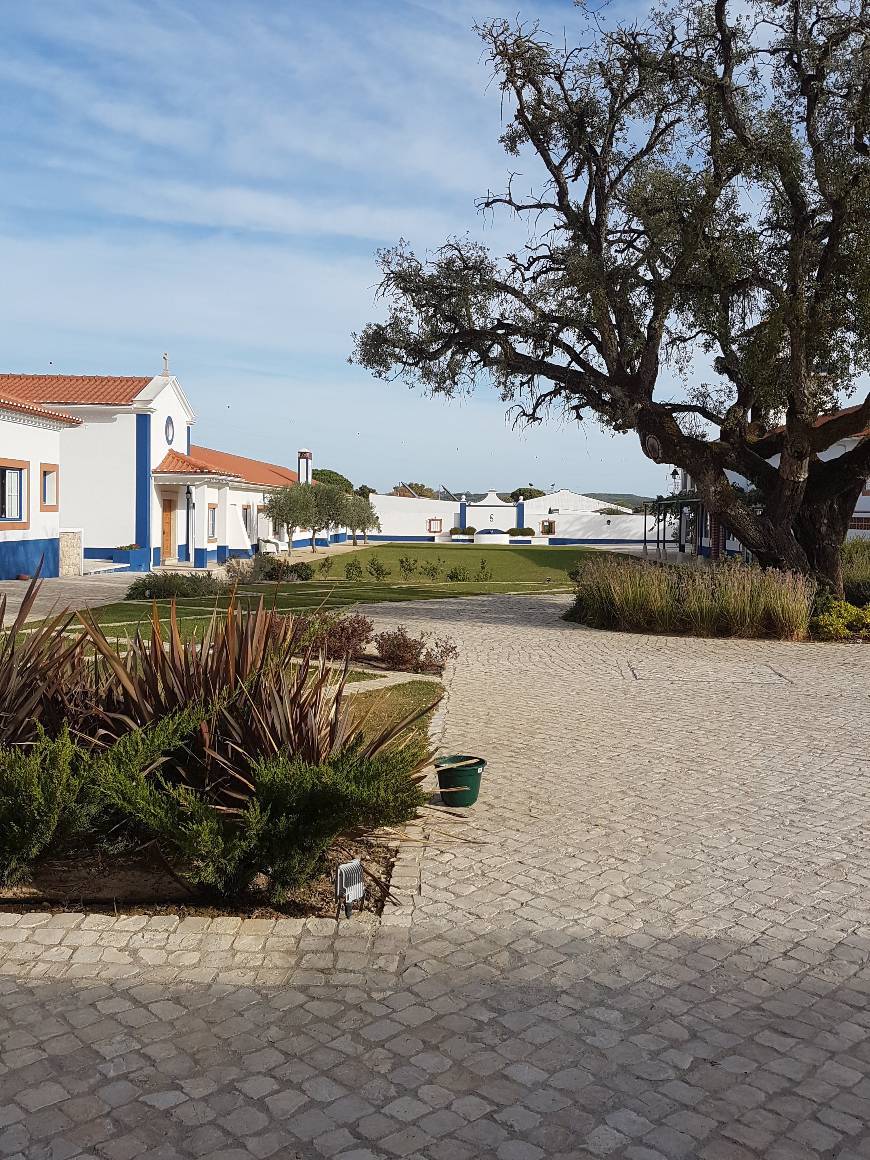 Lugar Quinta da Torre - Casas de Campo