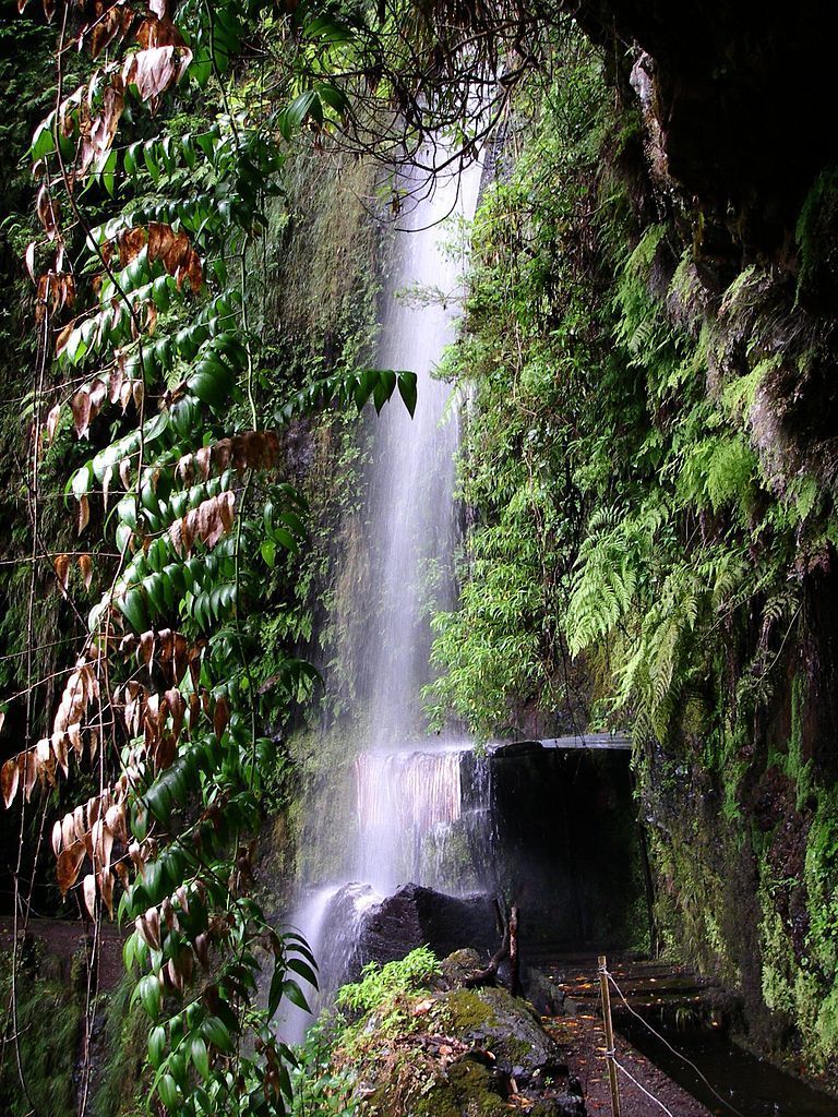 Lugar R. Levada da Ribeira da janela