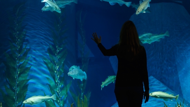 Lugar Museu Marítimo de Ílhavo e Aquário dos Bacalhaus