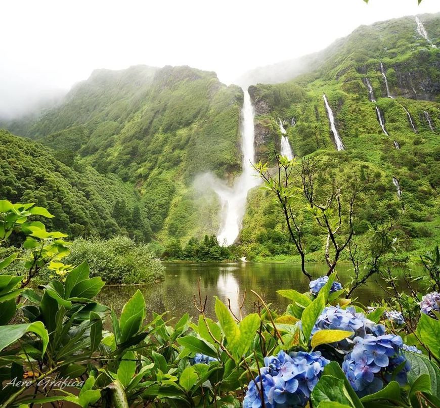 Lugar Ilha das Flores