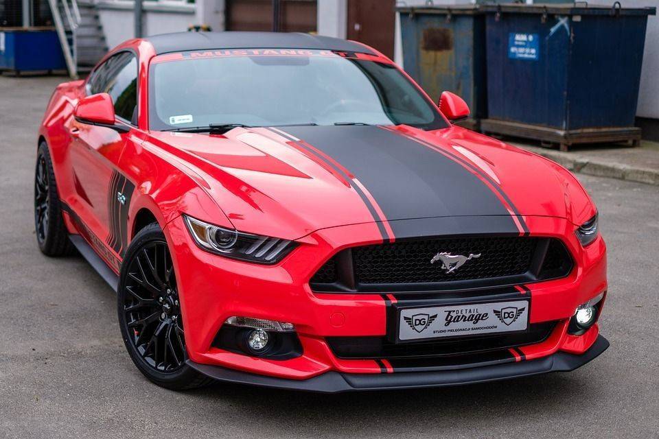 Fashion Mustang