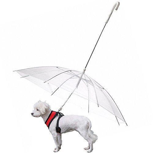 OMEM Paraguas de perro con correa para mascotas al aire libre a