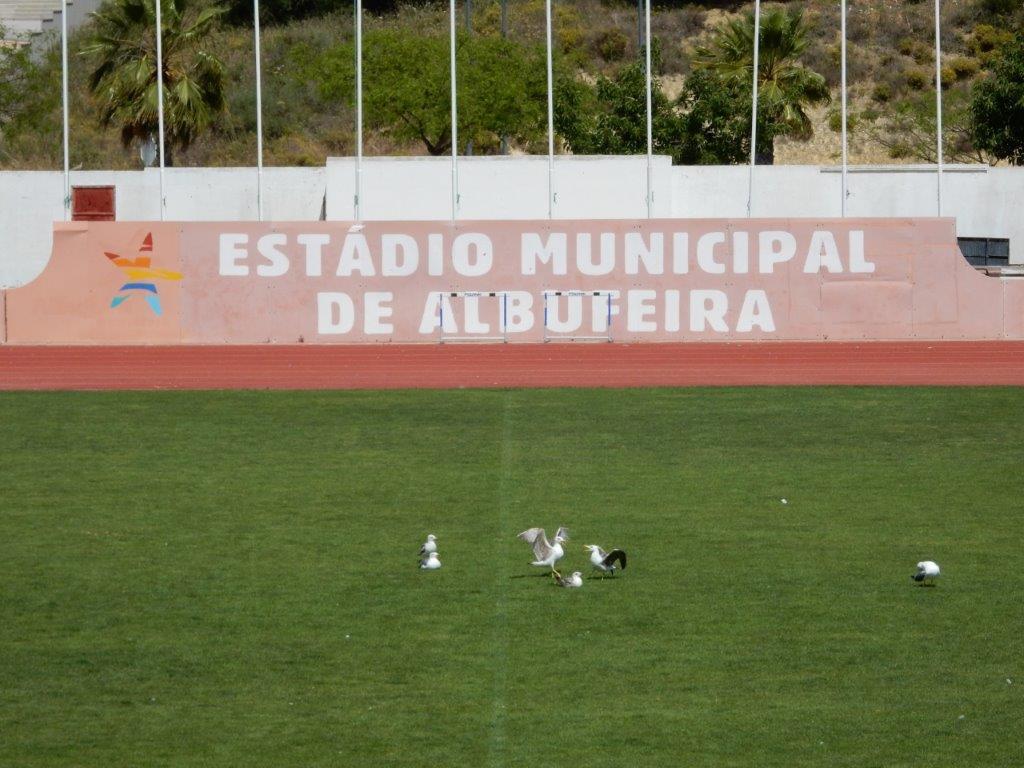 Lugar Estádio Municipal de Albufeira