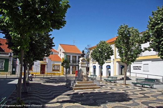 Ferreira do Alentejo