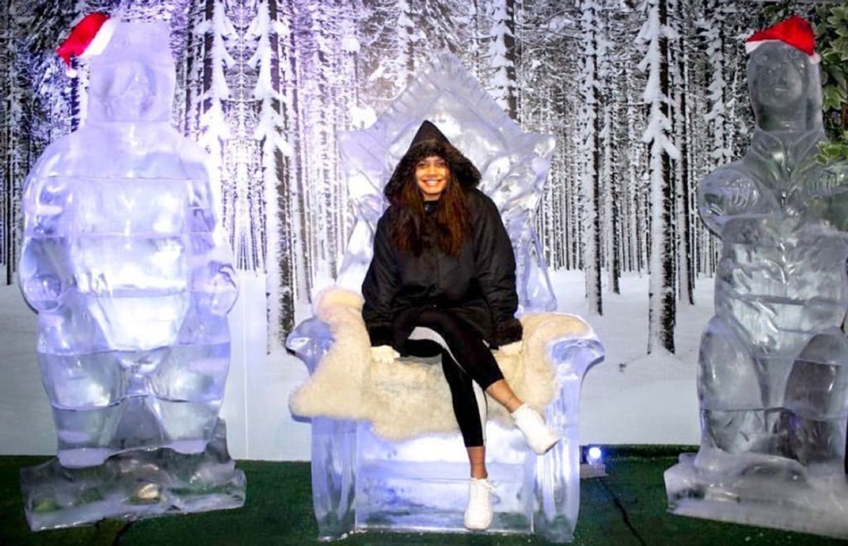 Restaurants Boreal Ice Bar