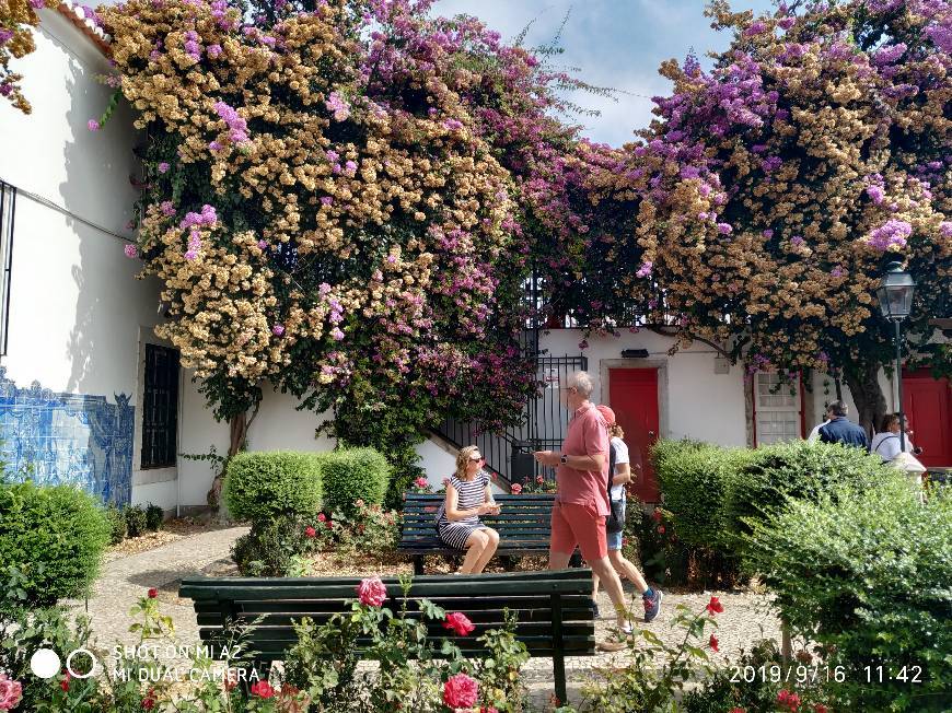 Place Jardín de São Pedro de Alcântara