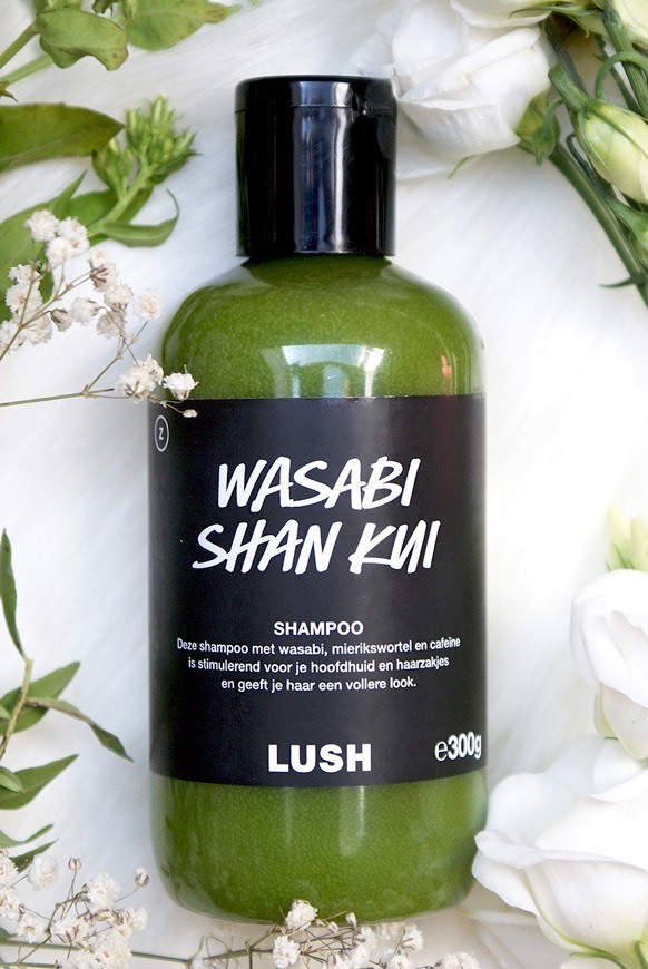 Product Wasabi Shan Kui châmpo 