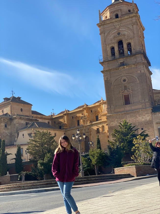 Places Catedral de Guadix