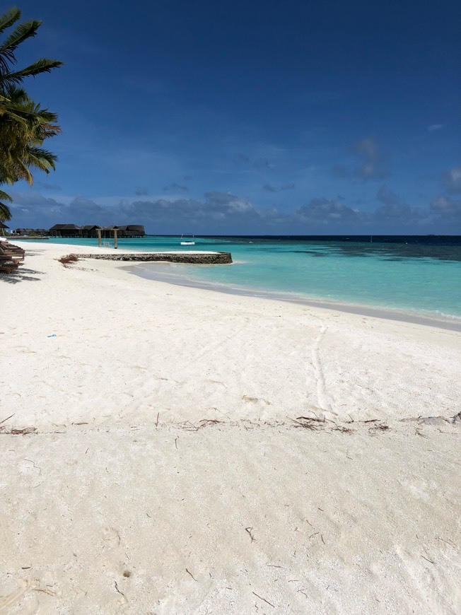 Lugar Lily Beach Resort & Spa at Huvahendhoo