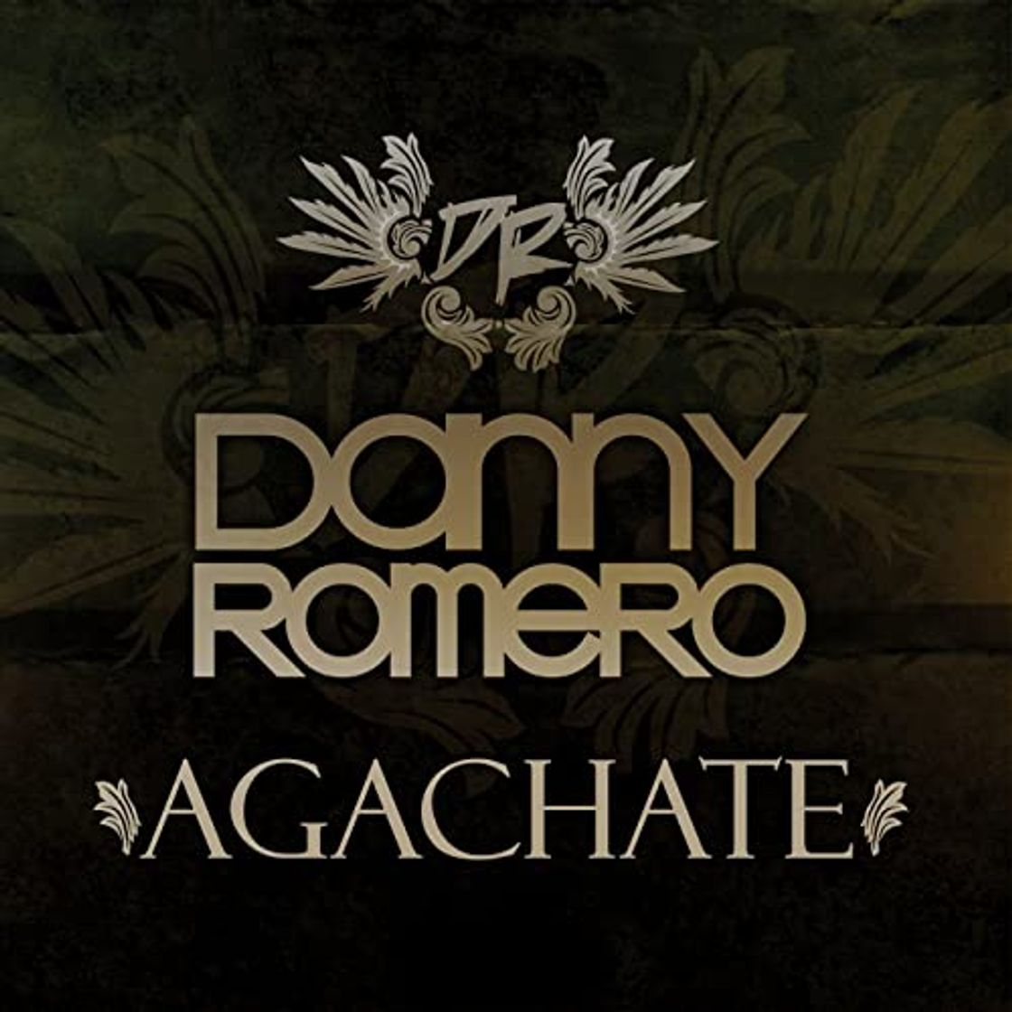 Canciones Agáchate (Danny Romero)