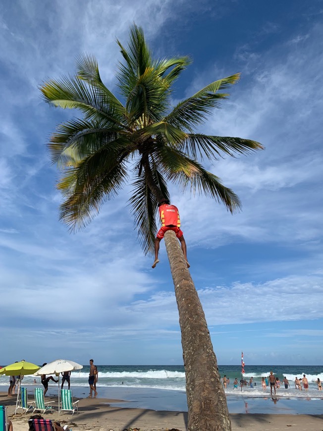 Lugar Praia do Resende