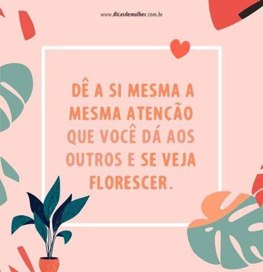 Social 💋