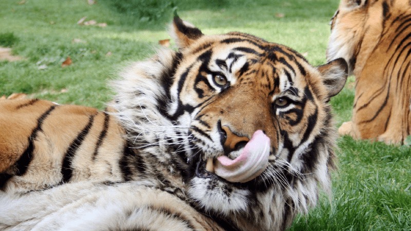 Lugar Jardim Zoológico de Lisboa