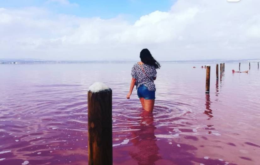 Lugar Salinas De Torrevieja