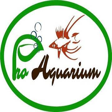 Moda Loja de aquariofilia