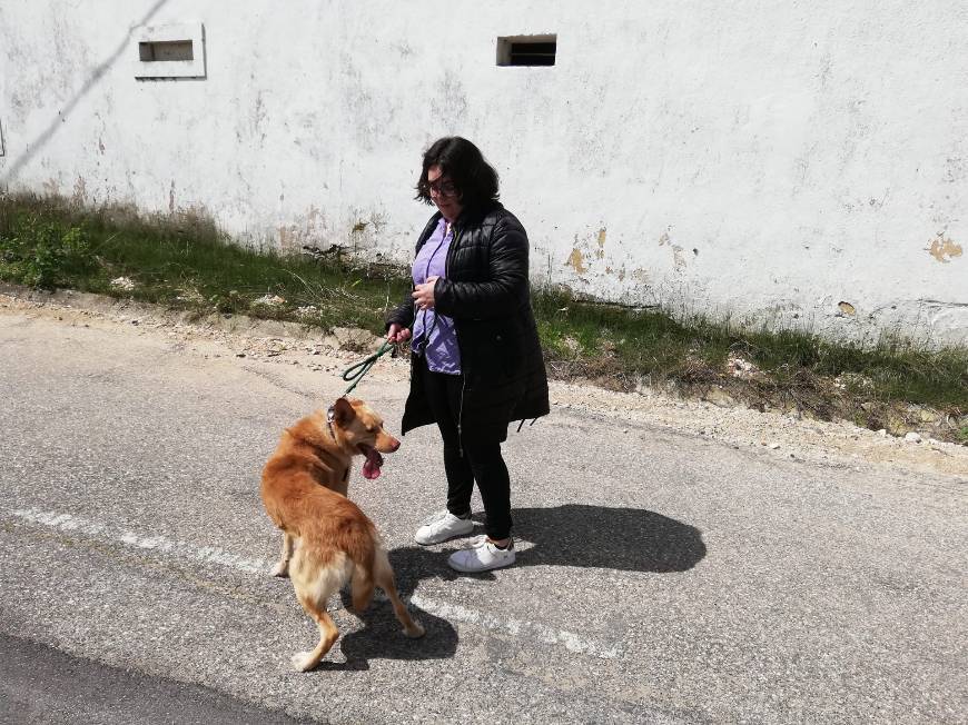 Lugar Amor Canino