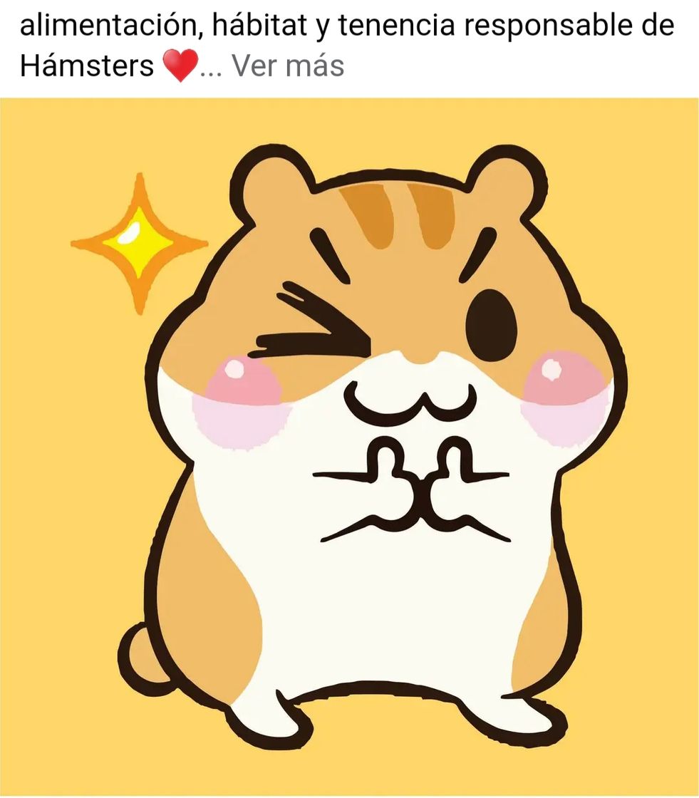 Moda Hamsters cuidado e info!