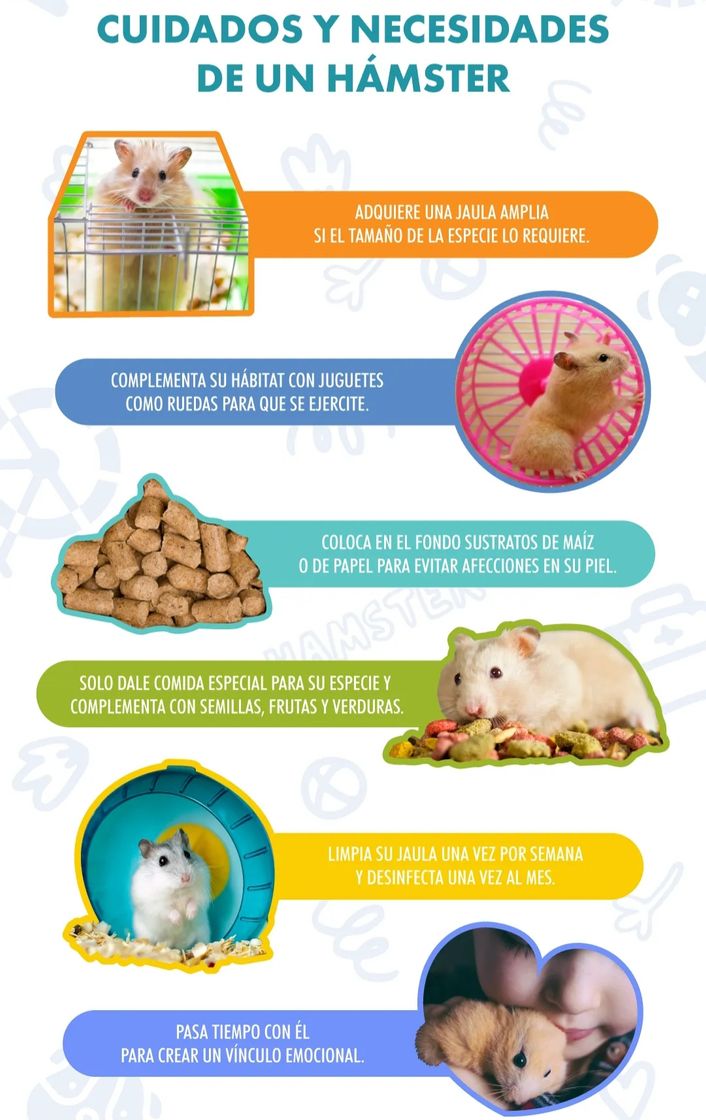 Moda Cuidados para Hamsters! 🥰