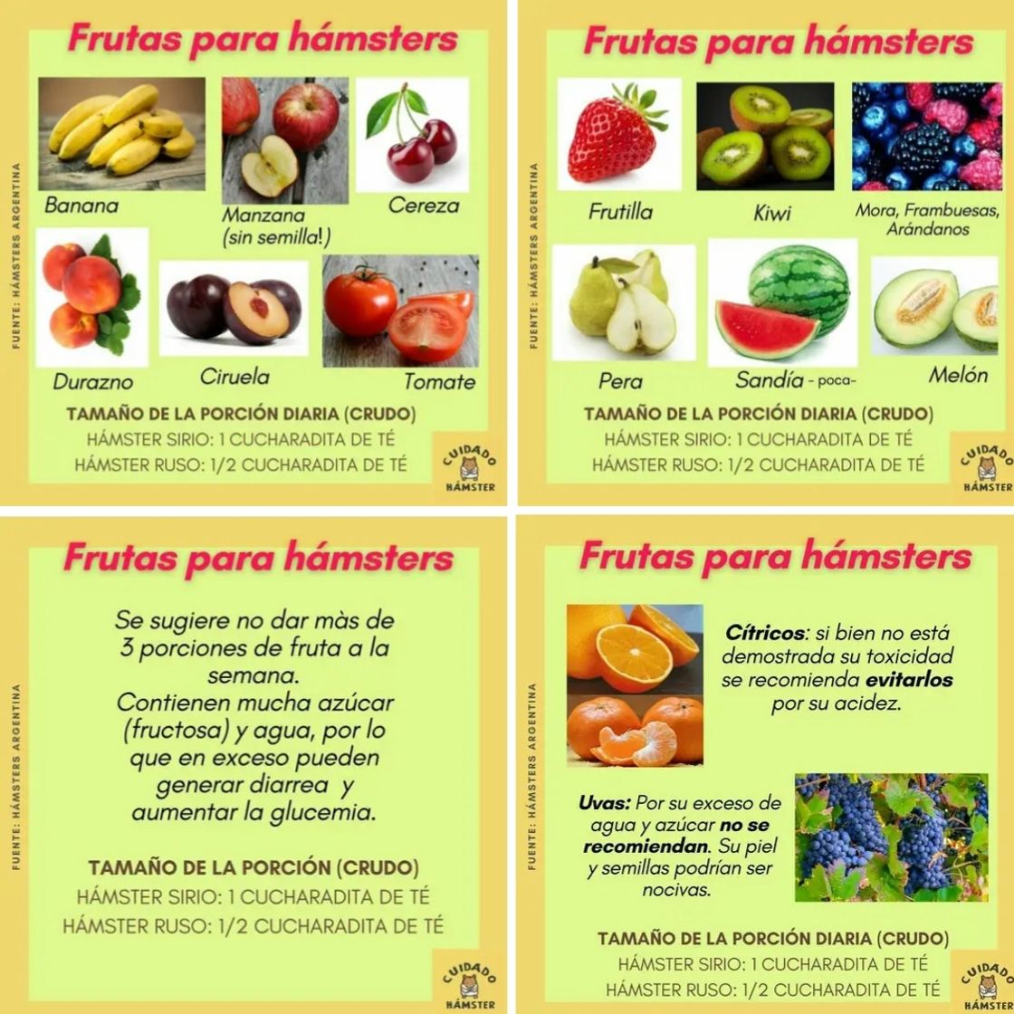 Social Frutas!