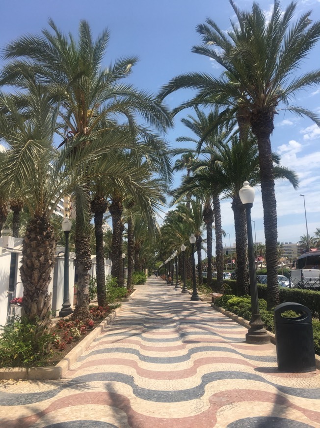 Lugares Explanada de España, Alicante